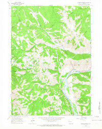 Munger Mountain 1963 topographic map thumbnail