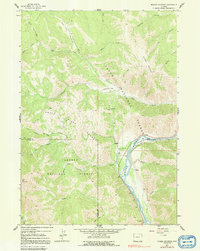 Munger Mountain 1963 topographic map thumbnail