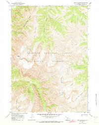 Needle Mountain 1970 topographic map thumbnail