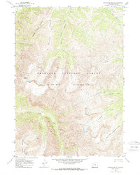 Needle Mountain 1970 topographic map thumbnail