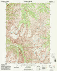 Needle Mountain 1991 topographic map thumbnail