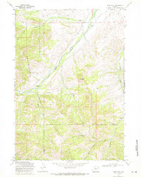 Noon Point 1969 topographic map thumbnail