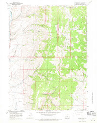 Nugent Park 1967 topographic map thumbnail