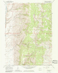 Nugent Park 1967 topographic map thumbnail