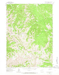 Observation Peak 1963 topographic map thumbnail