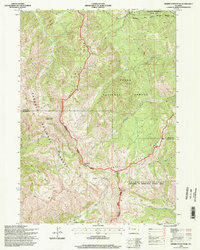Observation Peak 1996 topographic map thumbnail