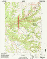 Old Maid Gulch 1993 topographic map thumbnail
