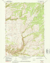 Onion Gulch 1967 topographic map thumbnail