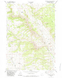 Packsaddle Canyon 1984 topographic map thumbnail