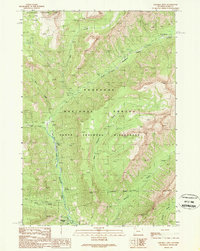 Pahaska Tepee 1989 topographic map thumbnail