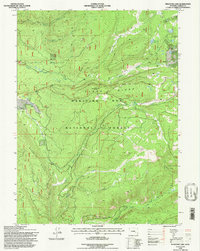 Phantom Lake 1992 topographic map thumbnail