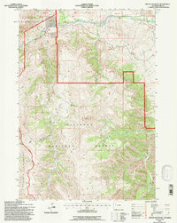 Phelps Mountain 1991 topographic map thumbnail