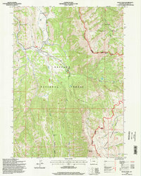 Pickle Pass 1996 topographic map thumbnail