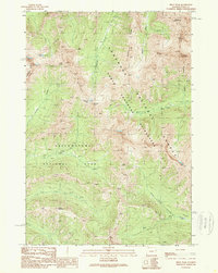 Pilot Peak 1989 topographic map thumbnail