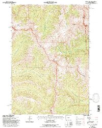 Pilot Peak 1991 topographic map thumbnail