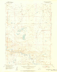 Pine Tree Ridge 1955 topographic map thumbnail