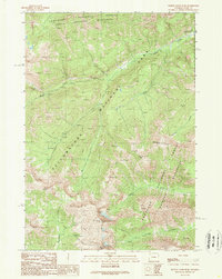 Plenty Coups Peak 1989 topographic map thumbnail