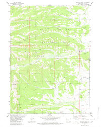 Prospect Peak 1980 topographic map thumbnail