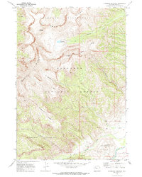 Ptarmigan Mountain 1970 topographic map thumbnail