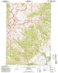 Ptarmigan Mountain 1991 topographic map thumbnail