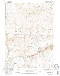 Radium Springs 1953 topographic map thumbnail