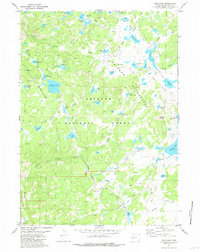 Raid Lake 1981 topographic map preview