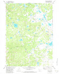 Raid Lake 1981 topographic map thumbnail