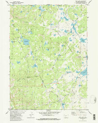 Raid Lake 1981 topographic map thumbnail