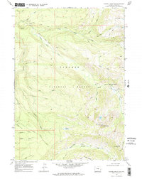 Rammel Mountain 1968 topographic map thumbnail