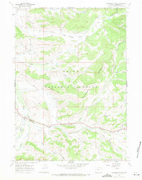 Raspberry Ridge 1967 topographic map preview