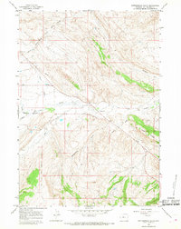 Rattlesnake Gulch 1965 topographic map thumbnail