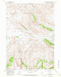 Rattlesnake Gulch 1965 topographic map thumbnail