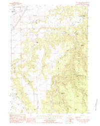 Red Canyon Creek 1984 topographic map thumbnail