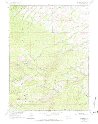 Red Mountain 1961 topographic map preview