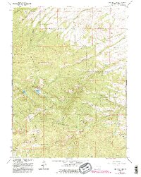 Red Mountain 1961 topographic map preview