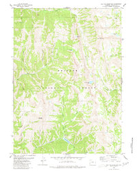 Red Top Mountain 1980 topographic map thumbnail