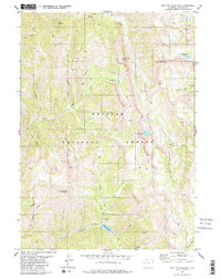 Red Top Mountain 1980 topographic map thumbnail