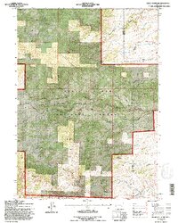 Reese Mountain 1992 topographic map thumbnail