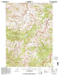 Rendezvous Peak 1996 topographic map thumbnail
