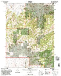 Reno Hill 1992 topographic map thumbnail