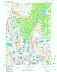 Roberts Mountain 1981 topographic map thumbnail