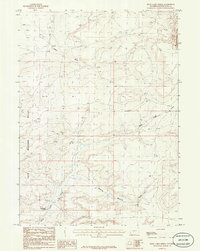 Rock Cabin Spring 1986 topographic map thumbnail