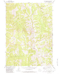 Rock Lake Peak 1980 topographic map thumbnail