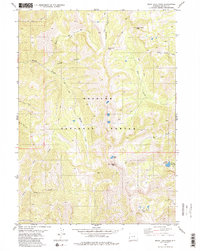Rock Lake Peak 1980 topographic map thumbnail