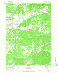 Rosies Ridge 1965 topographic map thumbnail