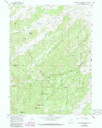 Saddleback Mountain 1964 topographic map thumbnail
