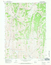 Salt Flat 1967 topographic map thumbnail
