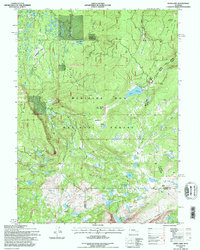 Sand Lake 1992 topographic map thumbnail