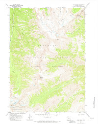 Sheep Mesa 1970 topographic map thumbnail