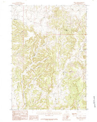 Skull Creek 1984 topographic map thumbnail